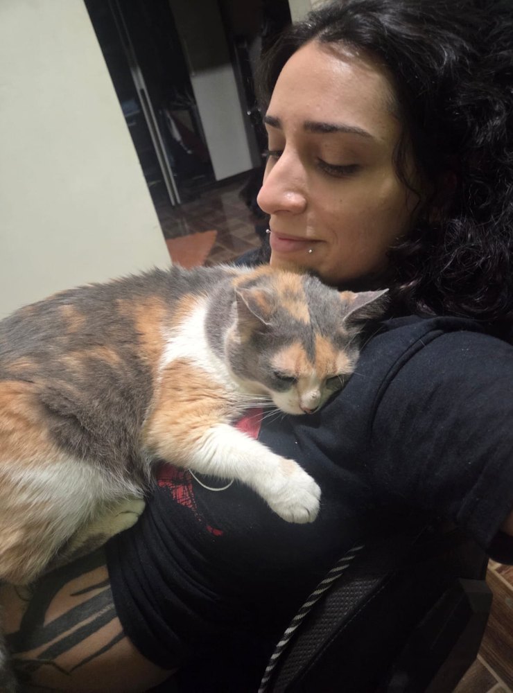A gata Regina deitada sobre a barriga da Júlia